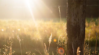 网页版手机号攻击