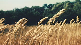 手机号群发平台