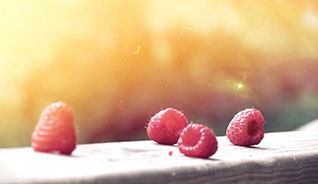 免费短信云呼轰炸机